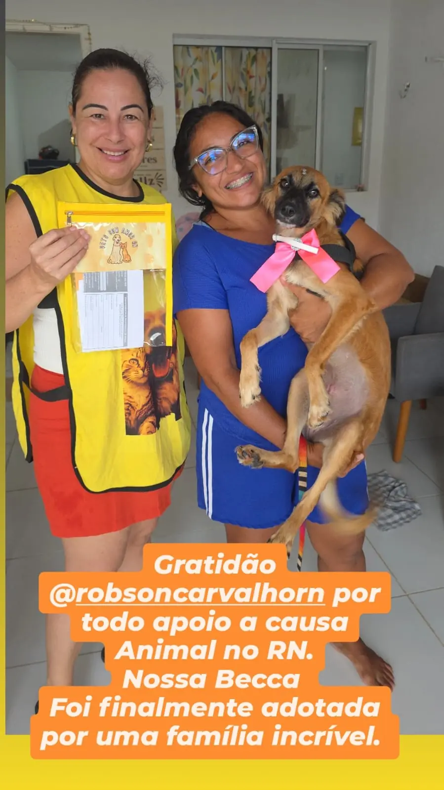 Animais e cuidado no abrigo Pets com Amor