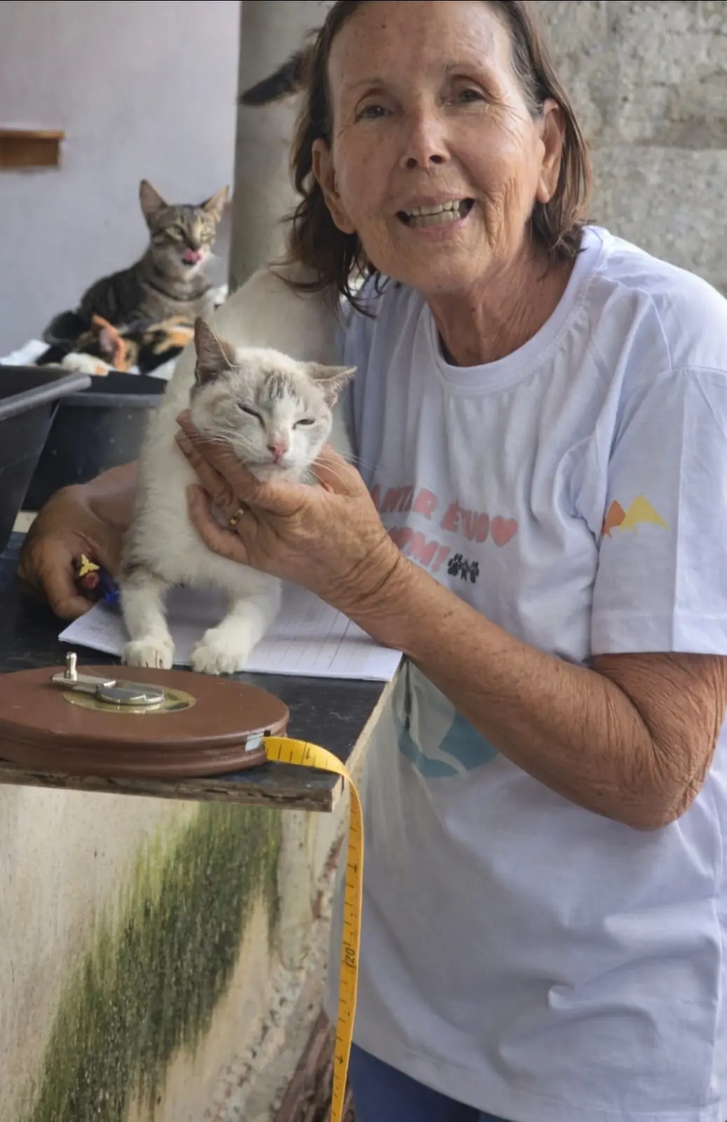 Voluntária acariciando um gato no abrigo